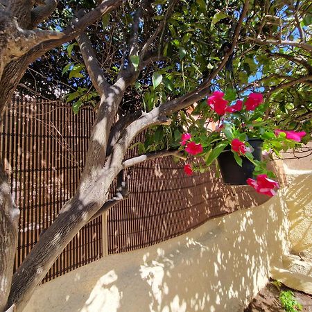 La Maddalena Holiday Home 외부 사진